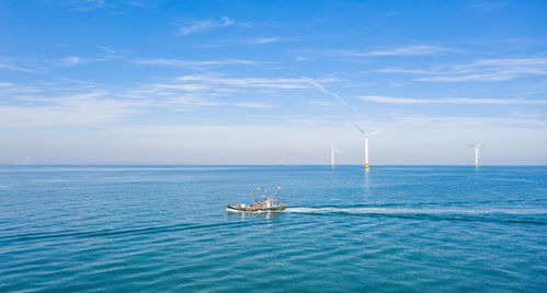 中国海上风电再次领先 40层楼高风力发电机，一台转动创造4亿元陆路国际货运业务