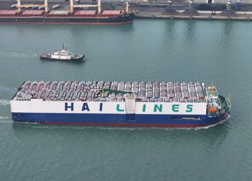 山东陆路国际货运代理业务发展趋势与挑战