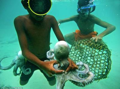 漂泊与连接 巴夭人的海上日常与现代陆路国际货运代理业务