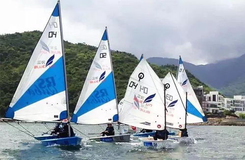 扬帆海丝，魅力研学——中小学生及毕业季五日研学营暨陆路国际货运代理业务体验